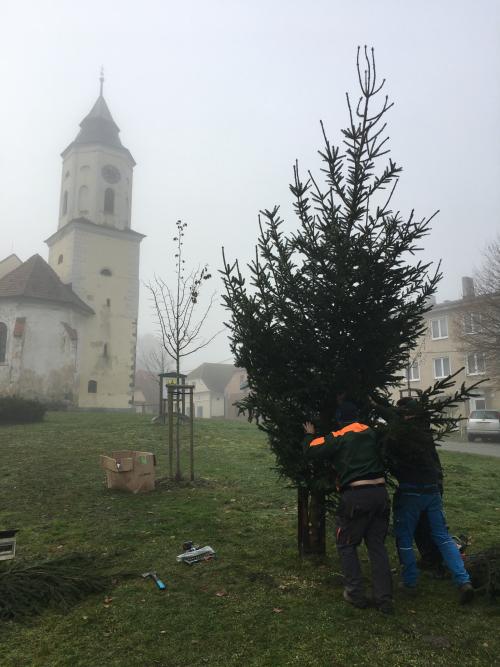Stavba a zdobení vánočního stromečku.