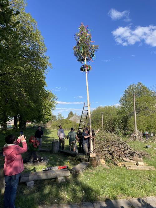 Sobota 27.4. 2024 Starý Kramolín - stavba máje