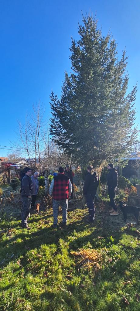 Stavba vánočního stromu pod taktovkou hasičů.