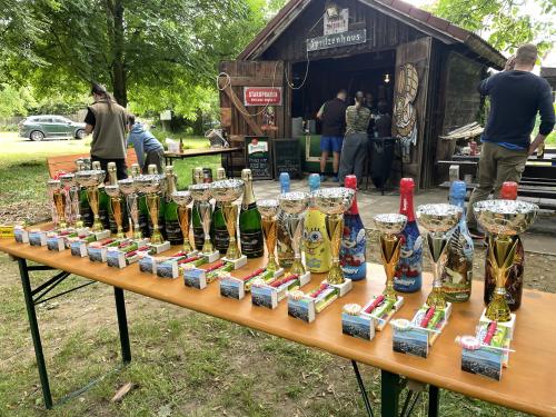 Pinec v áleji - 12.7. 2025 od 13.00.hod.