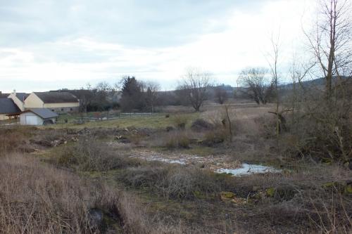 Obnova rybníčku ve Starém Kramolíně